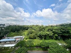 Blk 467A West Plains @ Bukit Batok (Bukit Batok), HDB 4 Rooms #574496971